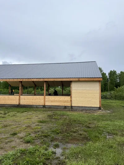 Side view of an open timber pavilion with natural wood walls, exposed posts, and dark metal roofing